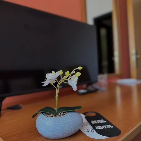 Petar Hotel Kotor Varos