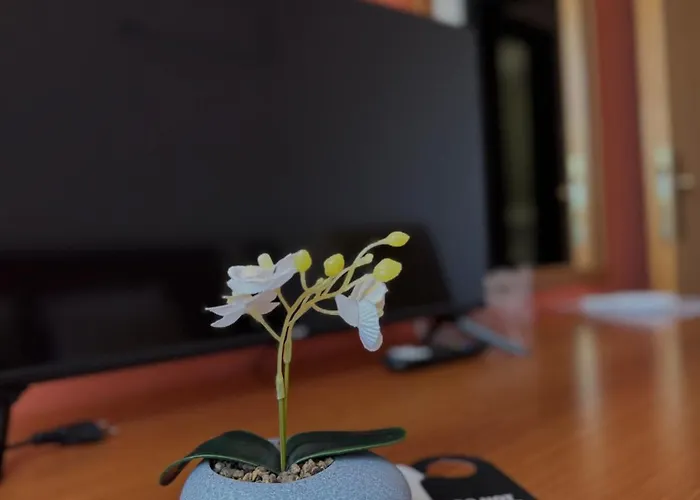 Petar Hotel Kotor Varos